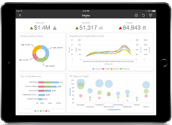 ipad with Birst dashboard screenshot