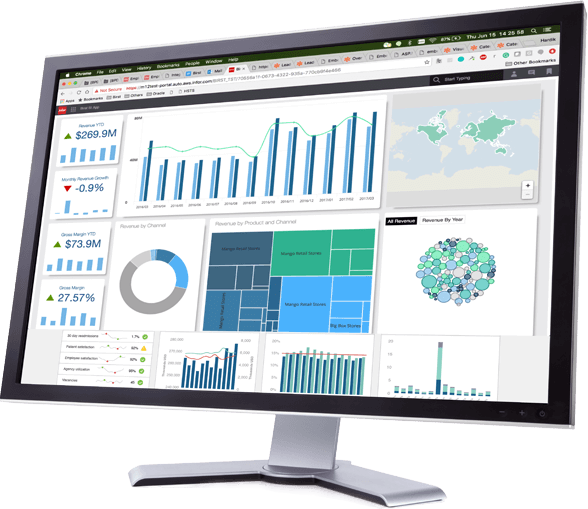 desktop monitor with Birst dashboard screen shot